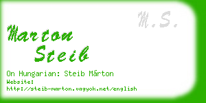 marton steib business card